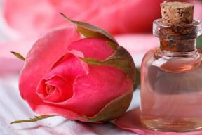 NƯỚC HOA HỒNG, PHƯƠNG THỨC TRỊ GÀU THIÊN NHIÊN AN TOÀN CHO MỌI LOẠI TÓC