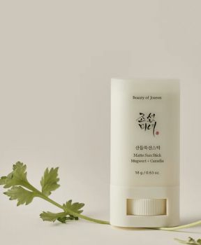 Beauty of Joseon Sáp chống nắng Matte Sun Stick Mugwort + Camelia 18g